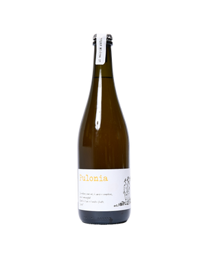 Pulonia' Sparkling White Wine, Italy