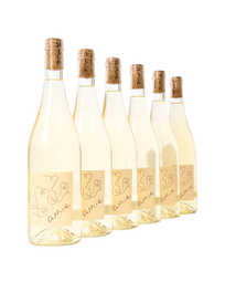 Sauvignon Blanc From South France (6 Bottles)
