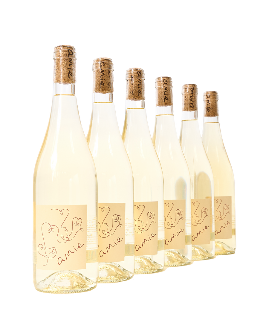 Sauvignon Blanc From South France (6 Bottles)