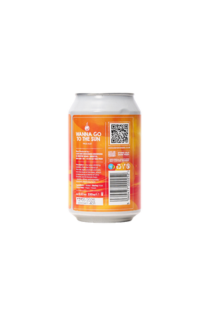 Wanna Go To The Sun: Pale Ale