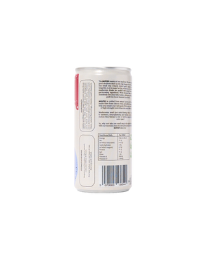 Mini Blueberry & Raspberry Lion's Mane Soda (200ml)