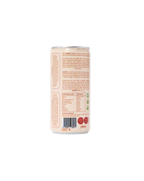 Mini Orange & Lemon Lion's Mane Soda (200ml)