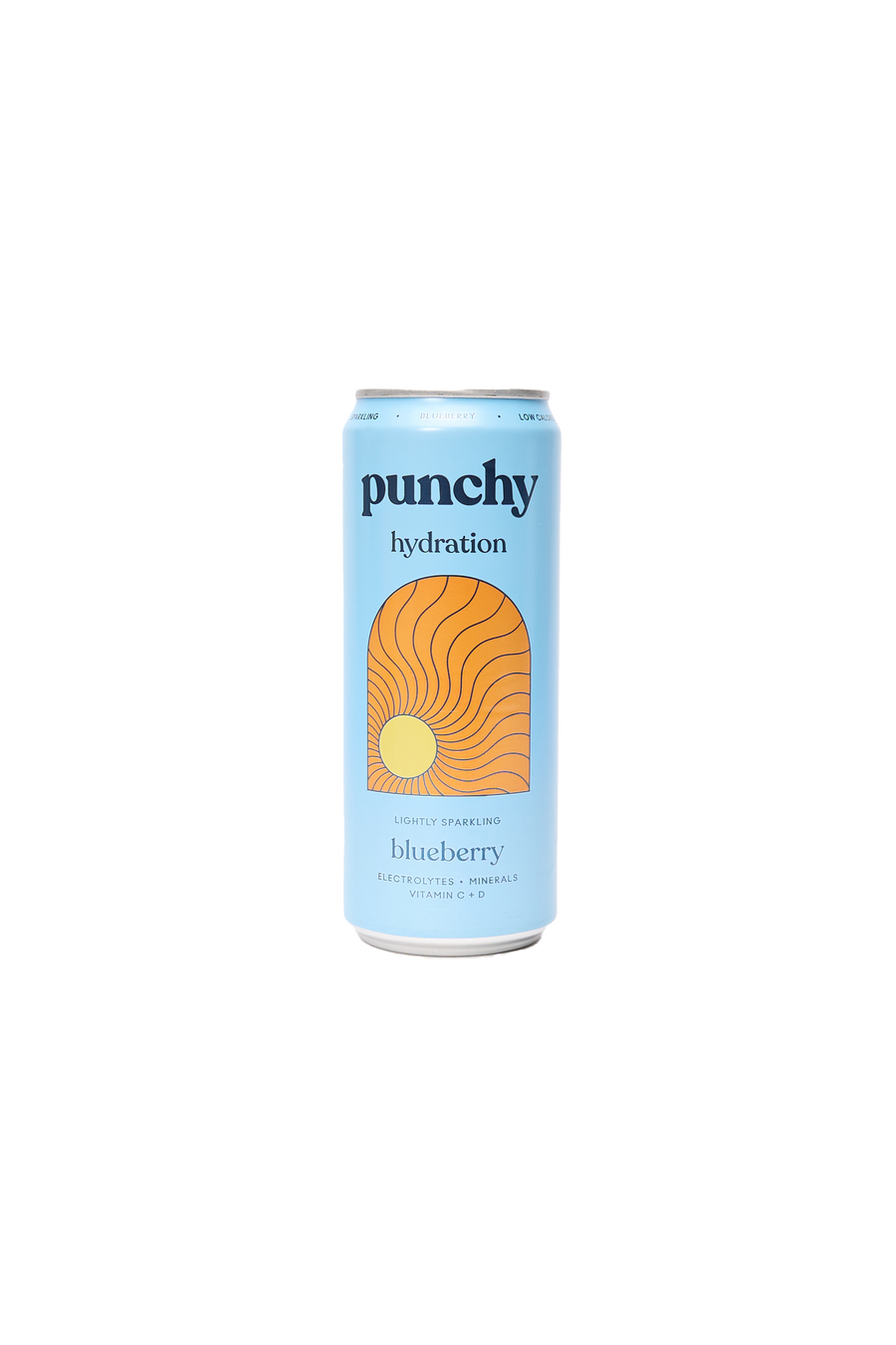 Sparkling Blueberry Hydration Drink