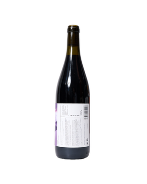 Dóldora: Moldovan Red Wine