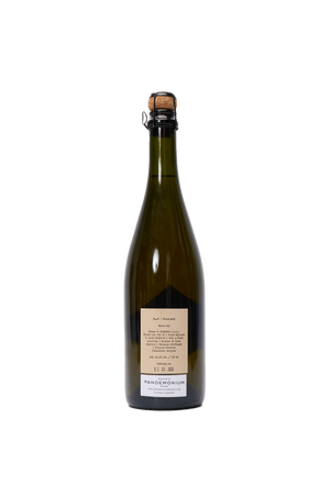 Punkista - Pinot Charodnnay 2019/2020: Czech Fine Sparkling Wine