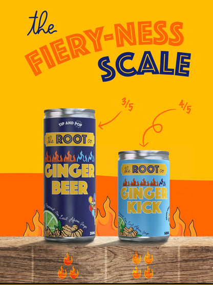 Ginger Beer + Ginger Kick - Mixed Pack