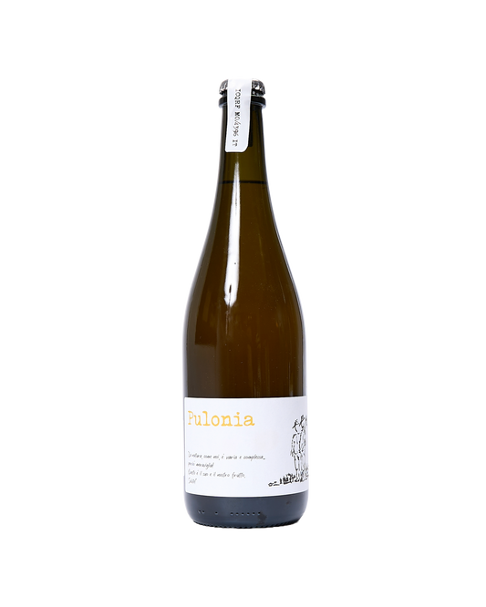 Pulonia' Sparkling White Wine, Italy