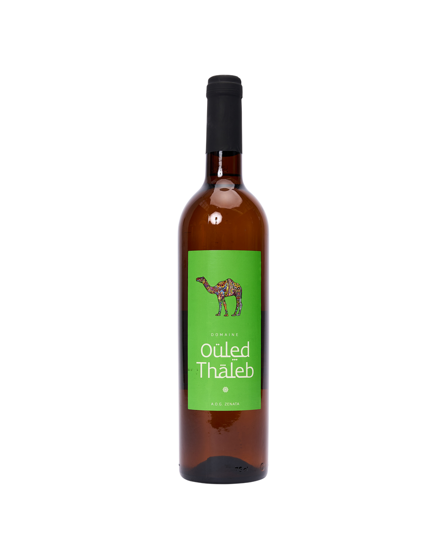 Ouled Thaleb Blend  |  Moroccan white wine