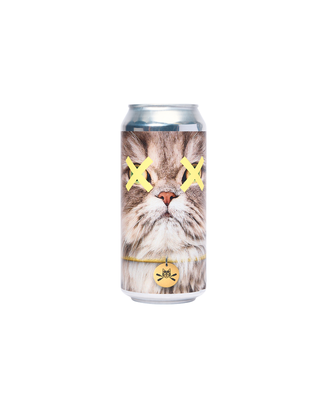 ‘Fluffy’ Pale Ale | single