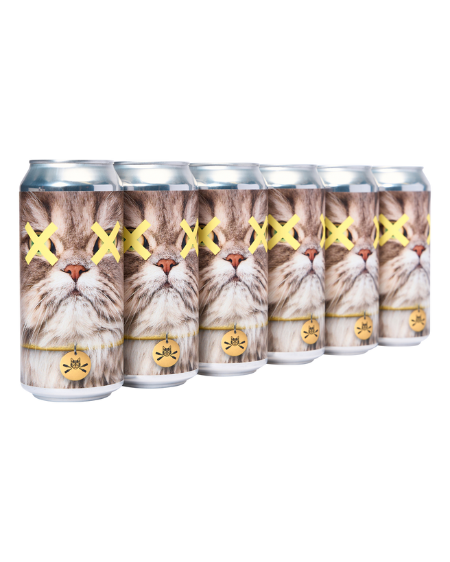 ‘Fluffy’ Pale Ale | 6 pack