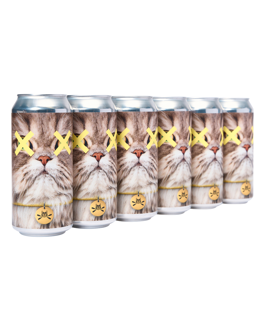 ‘Fluffy’ Pale Ale | 6 pack