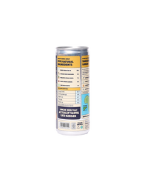 Limited Ed. 01: Pineapple Ginger Beer (1 can)