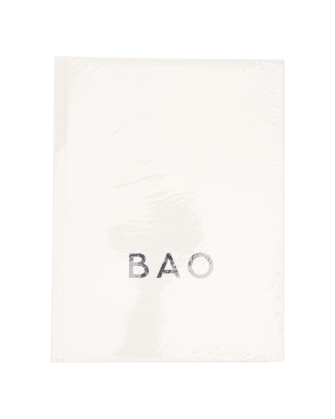 'Bao' by Erchen Chang, Shing Tat Chung, And Wai Ting Chung