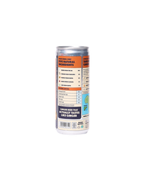 Limited Ed. 02: Mango Ginger Beer (1 can)