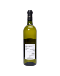 Mádl Müller Thurgau: Czech White Wine