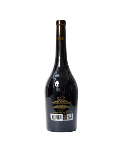 Carignan Red Wine From South France