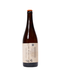 Core Wild Fermented Apple Beer