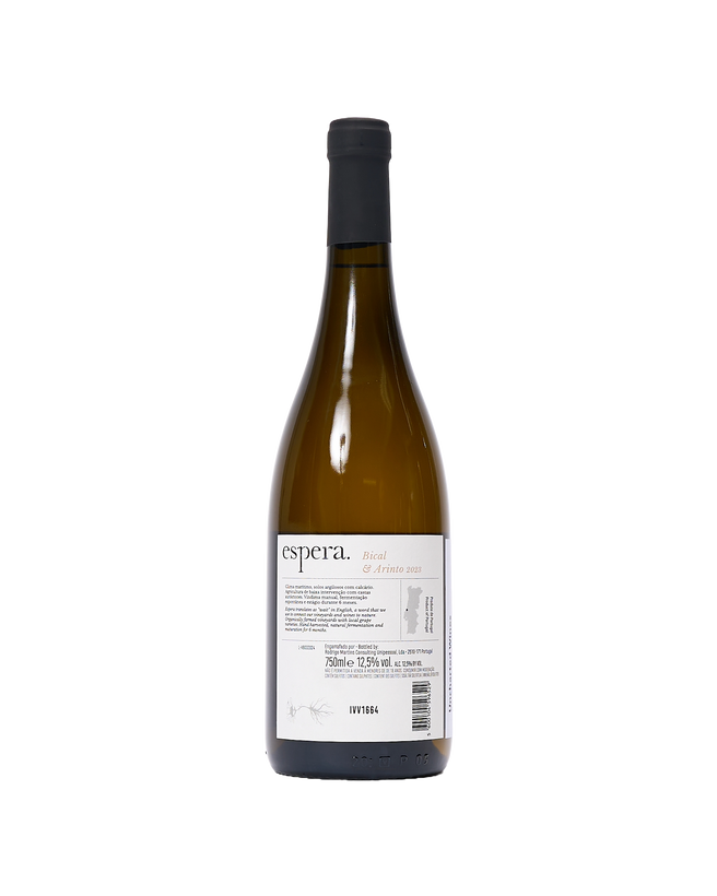 'Branco' White Wine, 2023, Portugal