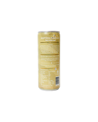 Lemon Balm & Mint: Immunity Drink