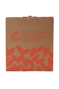 Sustainable Beer Gift Box (4 Cans)