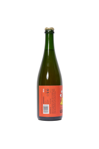 Arriba: Spanish Orange Wine