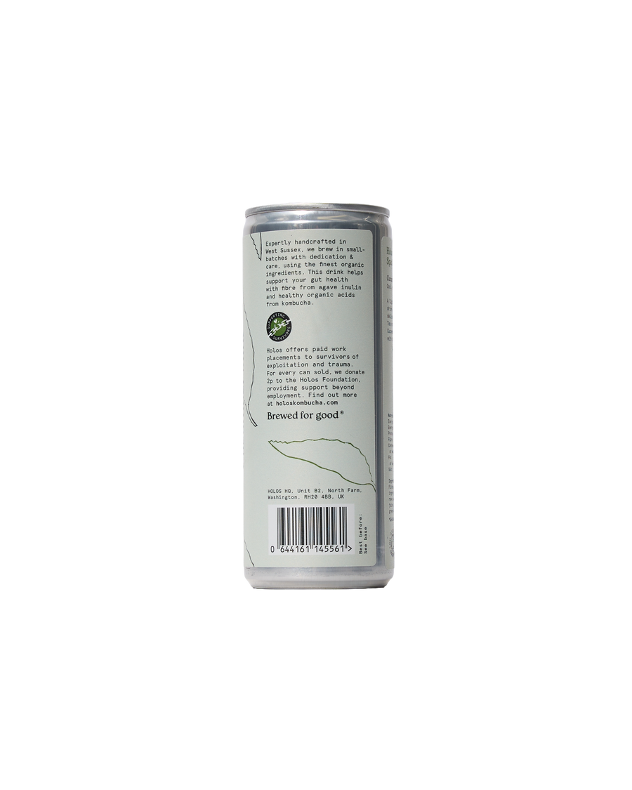 Organic Cucumber Mint Sparkling Tea