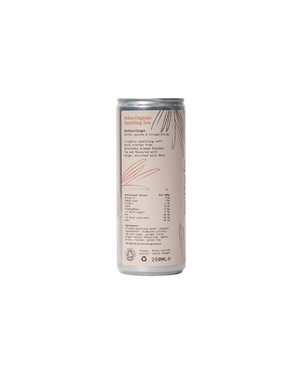 Organic Rooibos Ginger Sparkling Tea