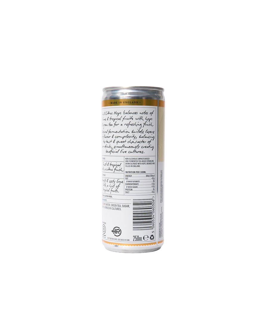 Non-Alcoholic Sparkling Citrus Hops (250ml)