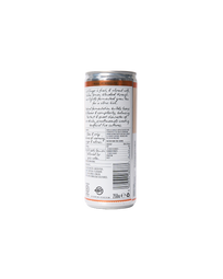 Non-Alcoholic Sparkling Ginger (250ml)