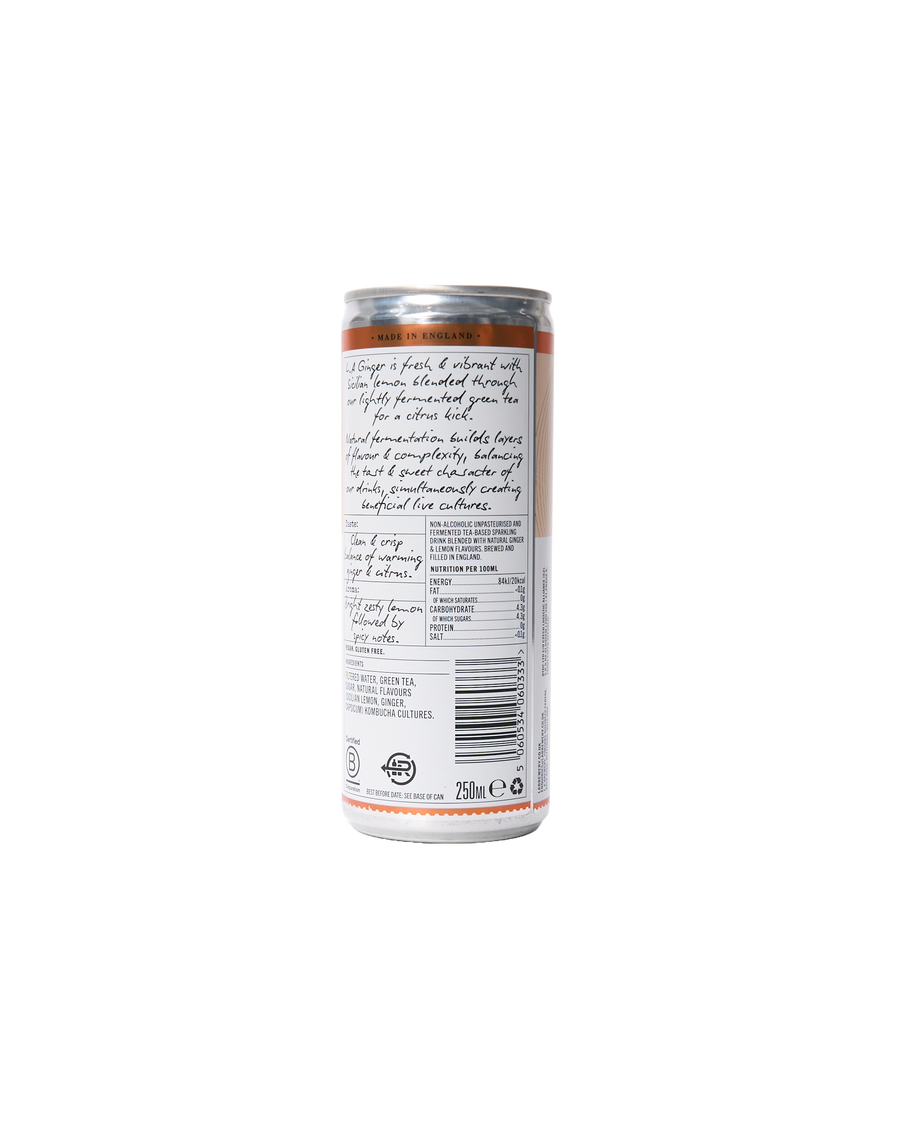 Non-Alcoholic Sparkling Ginger (250ml)