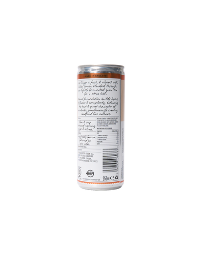 Non-Alcoholic Sparkling Ginger (250ml)