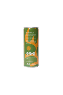 Ginger & Lime Fruit Soda
