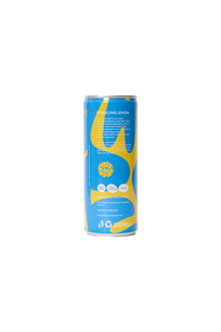 Sparkling Lemon Fruit Soda