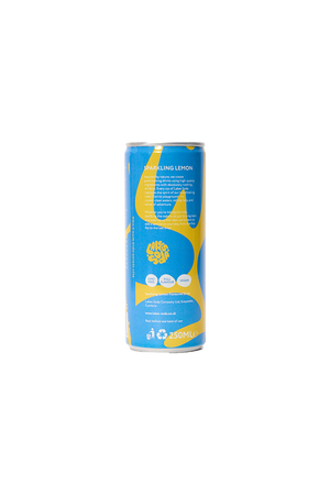 Sparkling Lemon Fruit Soda
