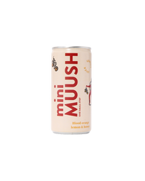 Mini Orange & Lemon Lion's Mane Soda (200ml)
