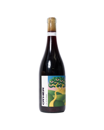 La Ventana: Uruguayan Chilled Red Wine