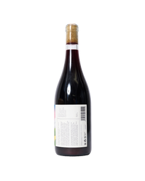 La Ventana: Uruguayan Chilled Red Wine