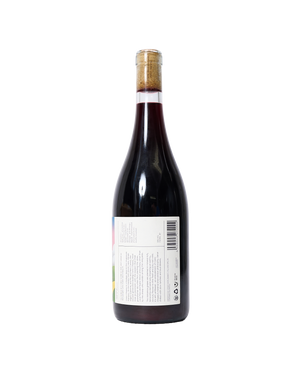La Ventana: Uruguayan Chilled Red Wine
