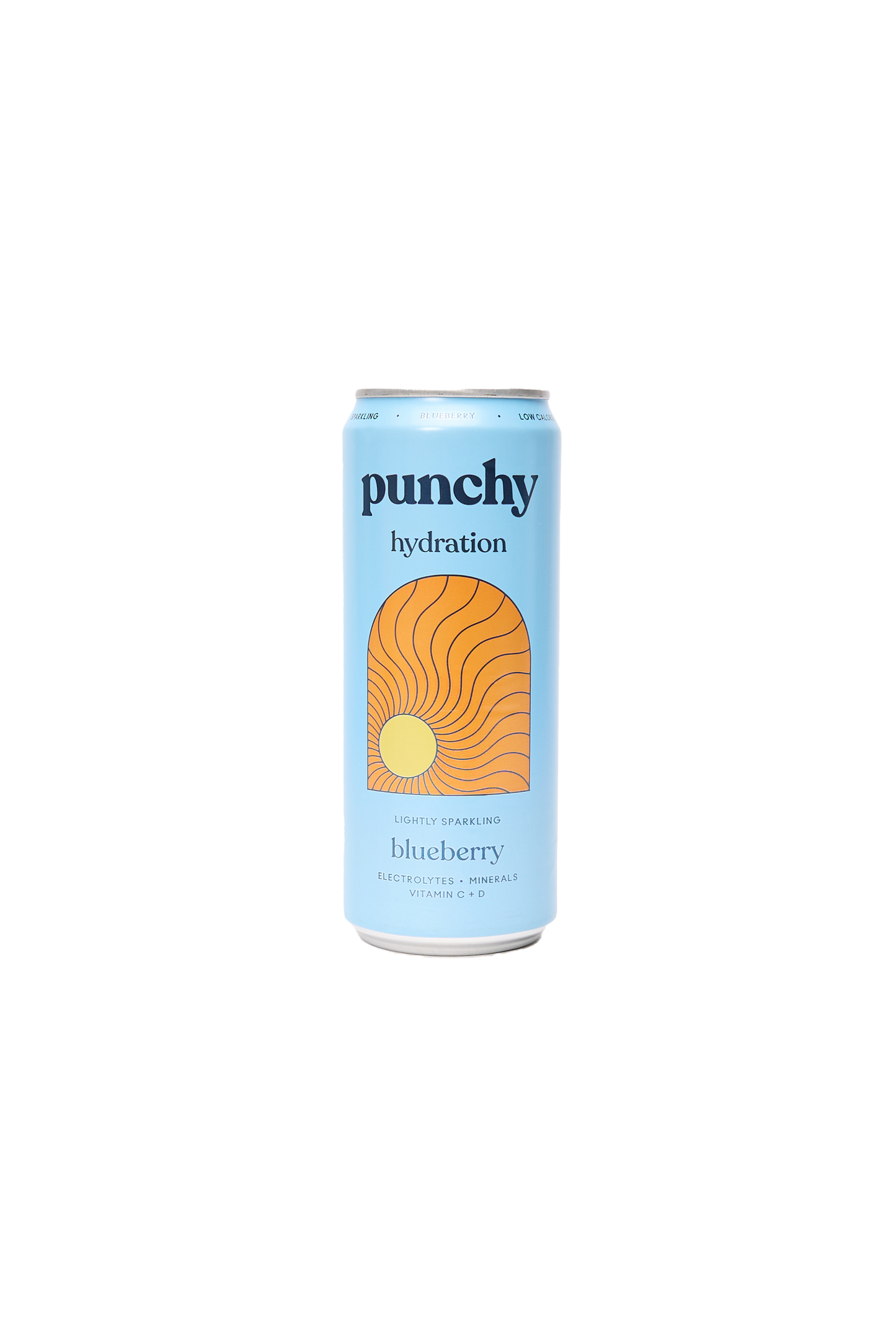 Sparkling Blueberry Hydration Drink