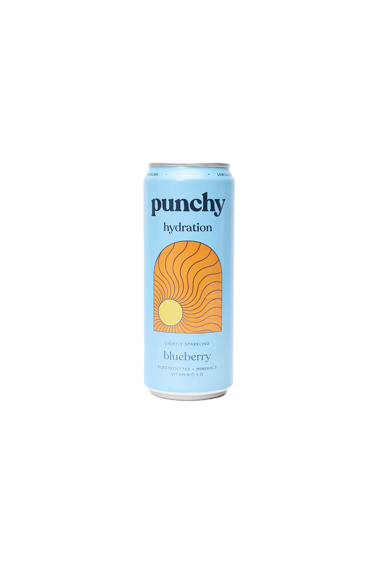 Sparkling Blueberry Hydration Drink