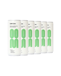 Sparkling Lime, Mint & Rosemary Drink (6 Pack)