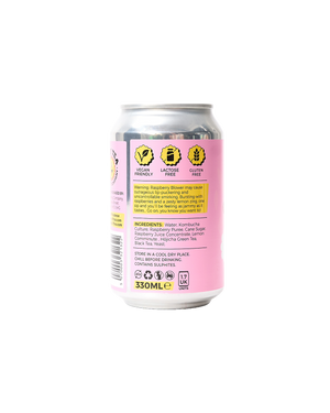 Raspberry & Lemon Hard Kombucha (5%)