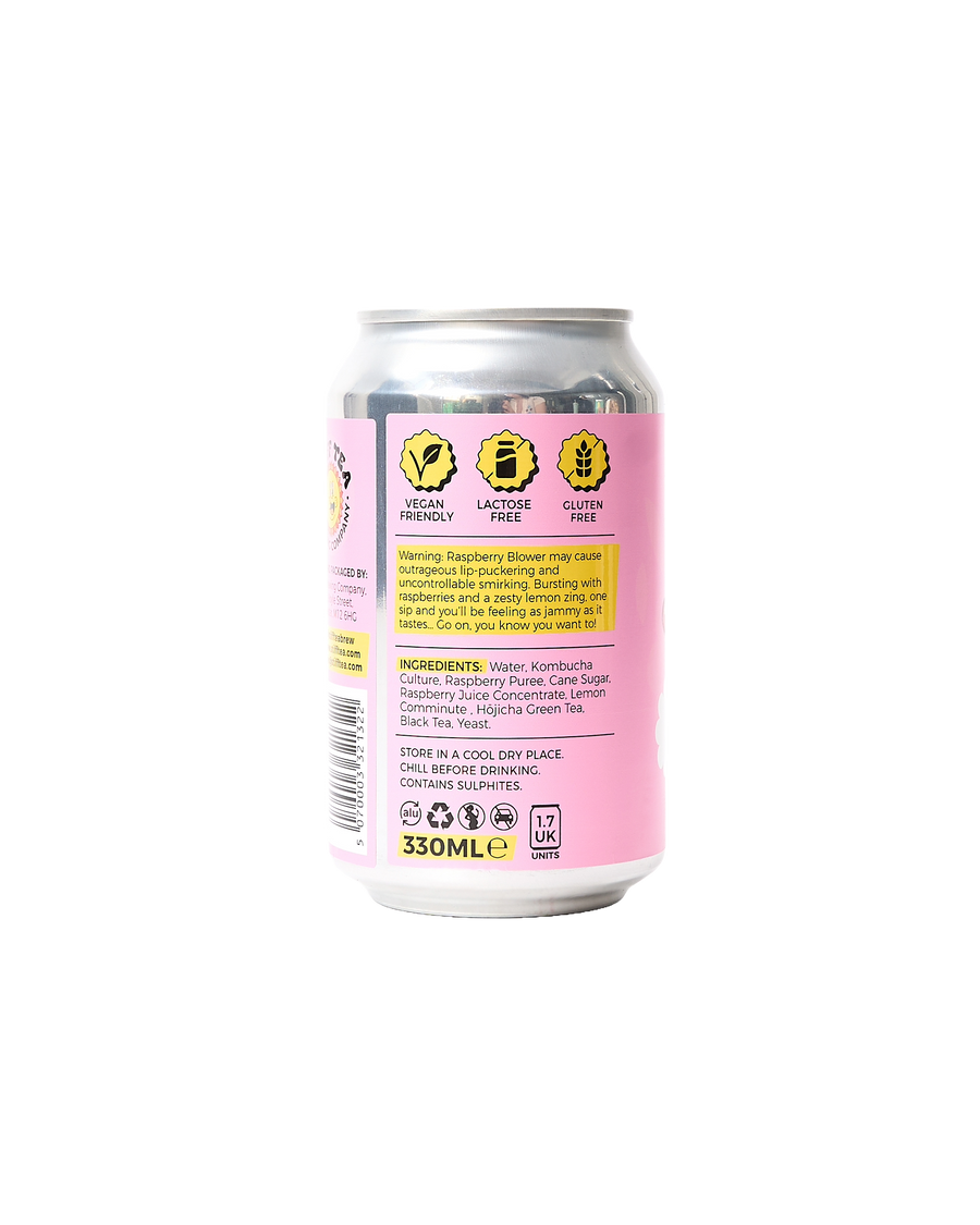 Raspberry & Lemon Hard Kombucha (5%)
