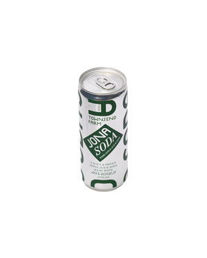 Apple Juice Soda