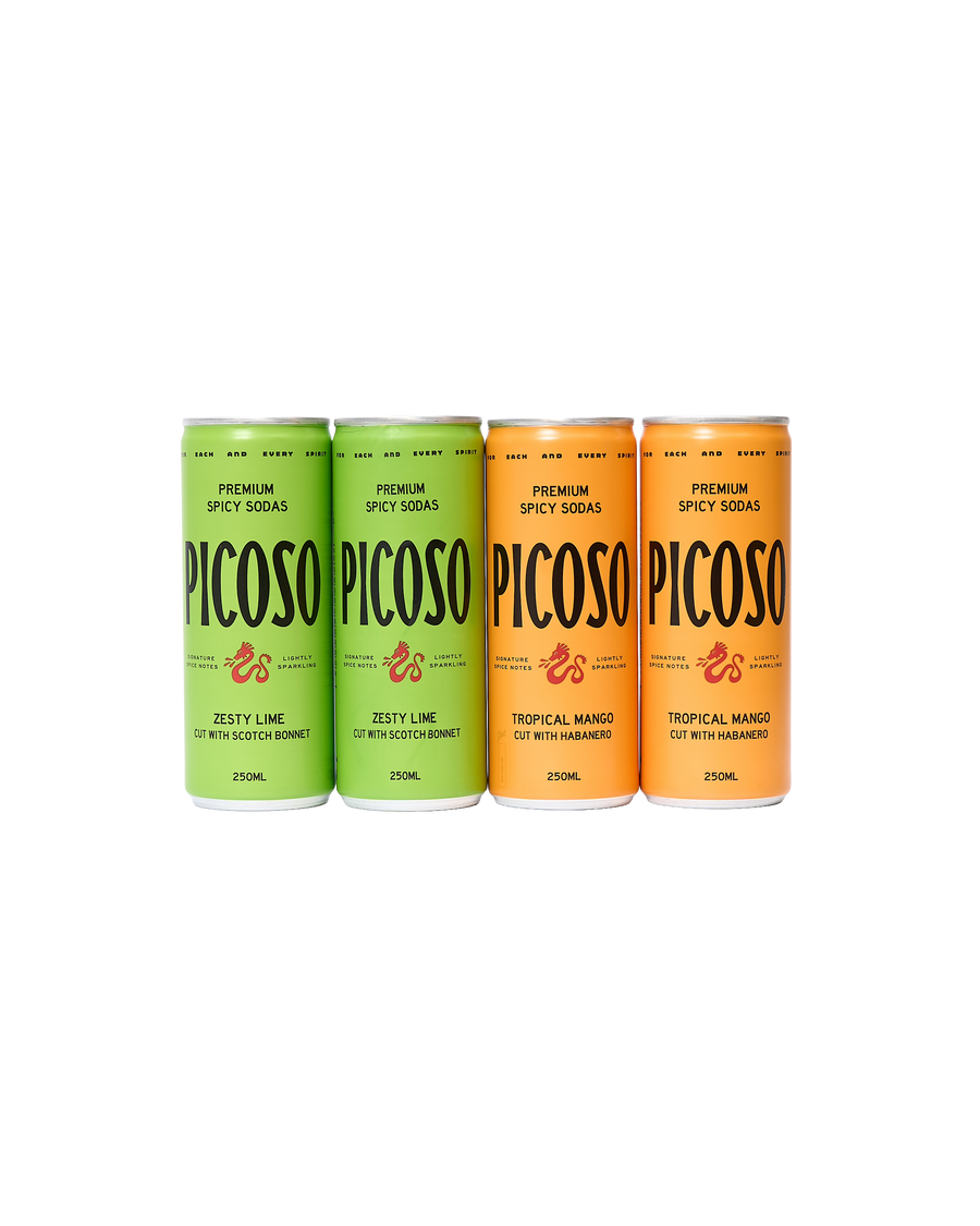 Spicy Soda Mixed Pack (4 cans)