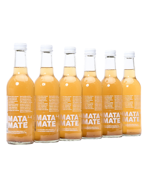 Yerba Maté: Energising Herbal Soda (6 Pack)