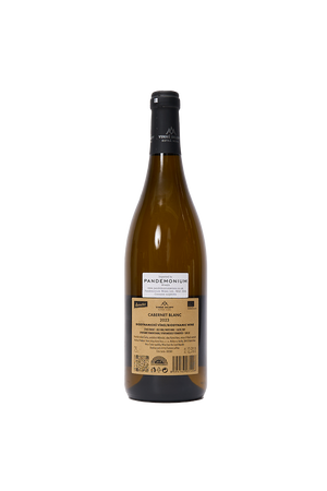 Vinné Sklepy Kutná Hora - Cabernet Blanc: Czech White Wine