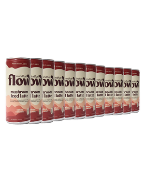 Salted Caramel Mushroom Iced Latte (12 Pack)